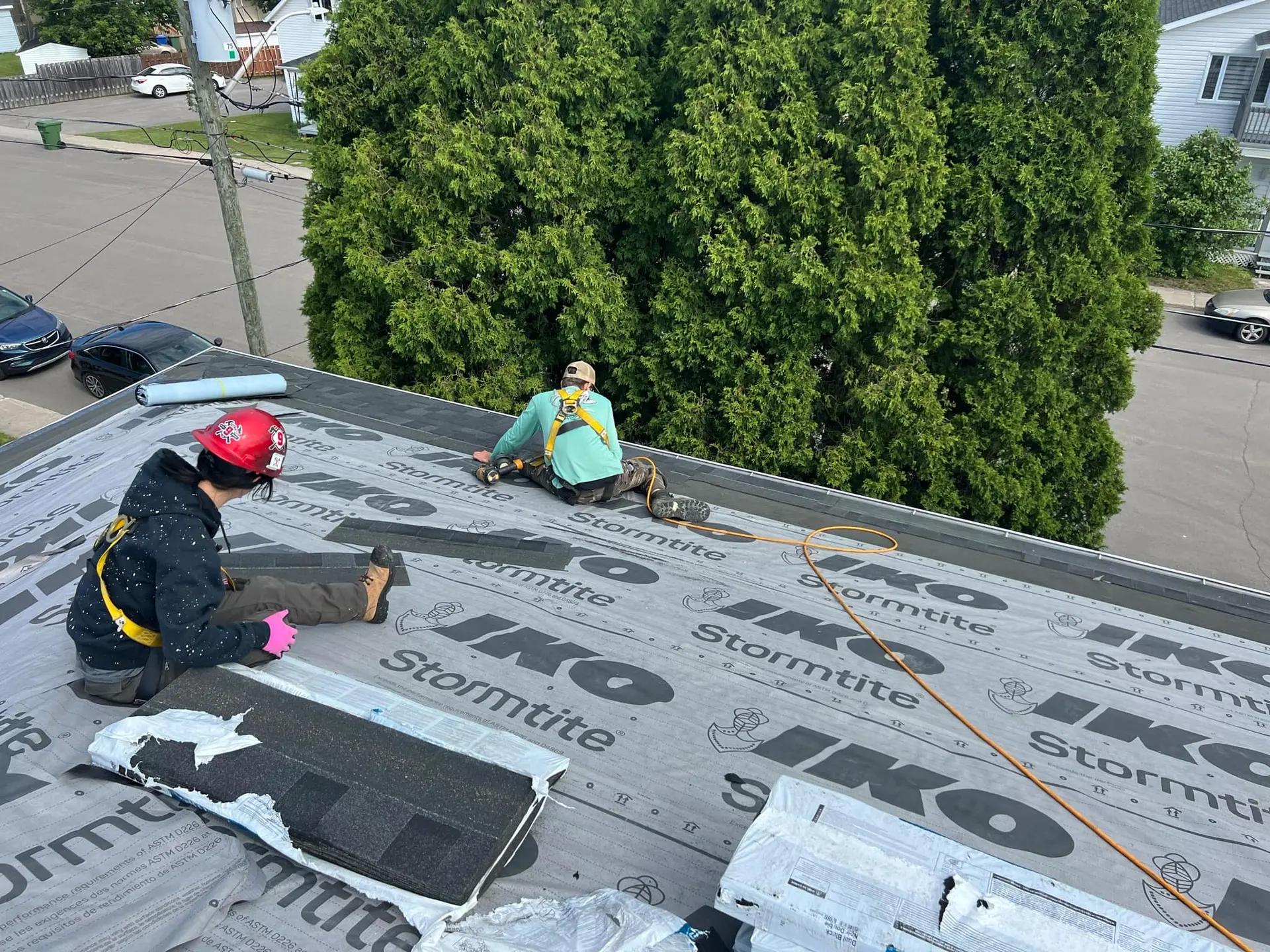 Deux couvreurs sont en train de poser des bardeaux sur un toit avec une sous-couche IKO Stormtite. Ils portent des équipements de sécurité et travaillent à proximité d'une grande haie d'arbres verts, avec une rue et des voitures visibles en arrière-plan