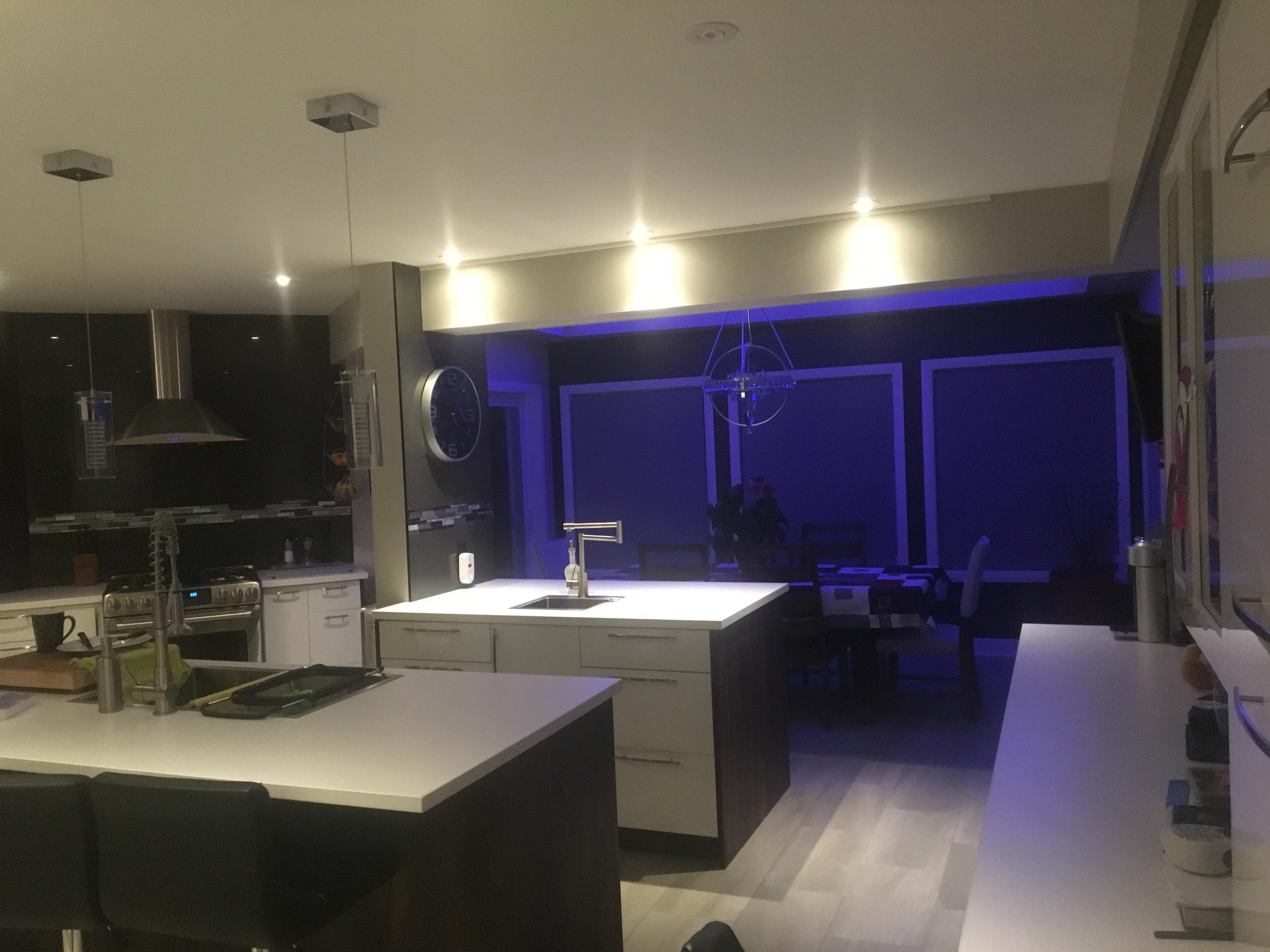 contractor gallery