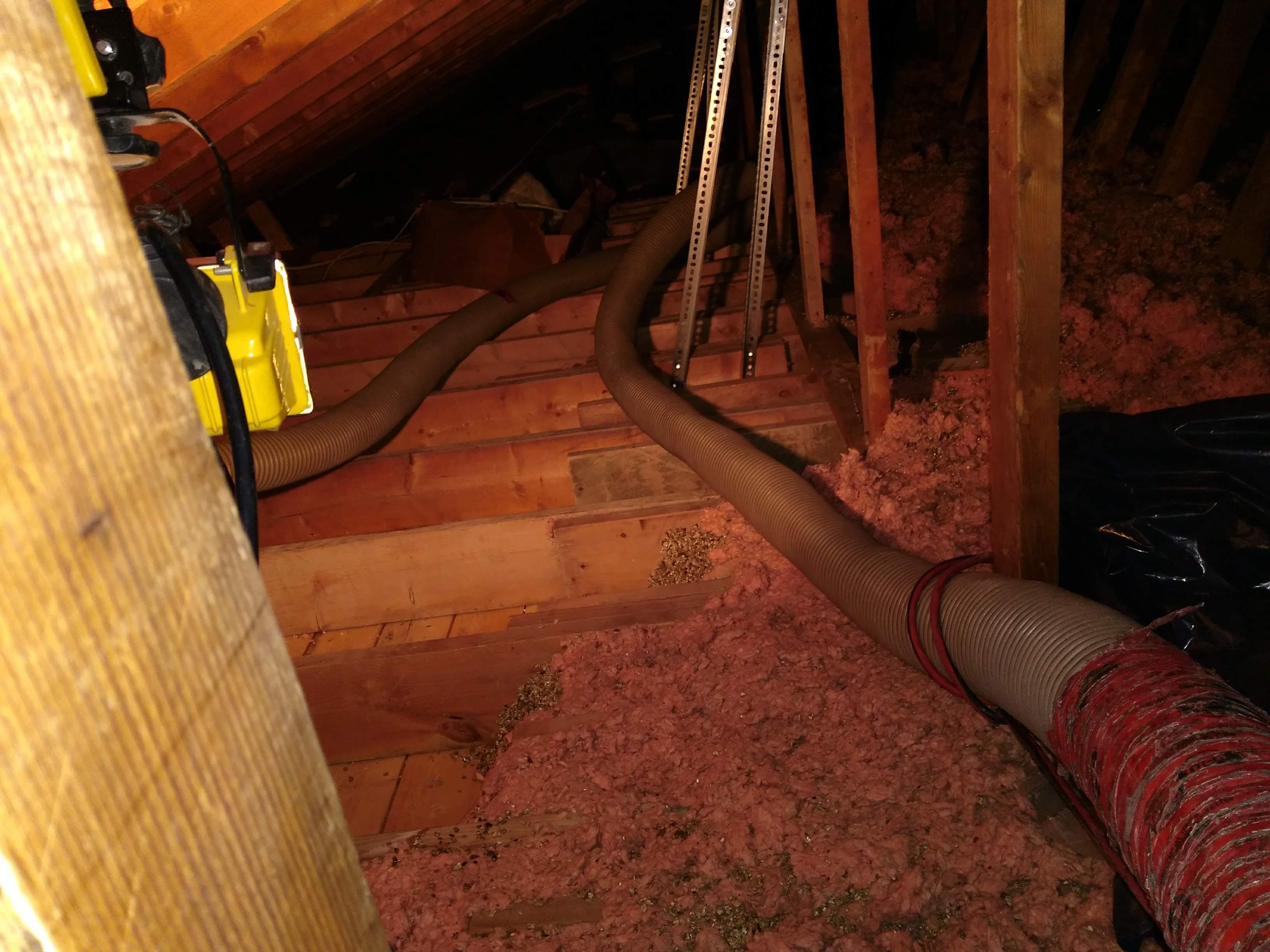 contractor gallery