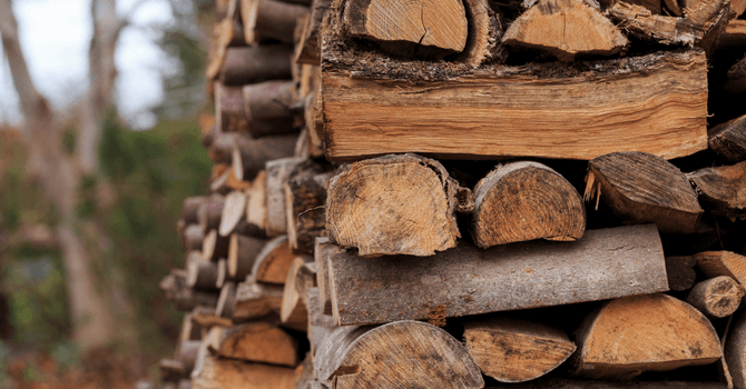 Des bûches d'érable comme bois de chauffage